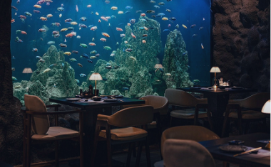 Khu Bể Cá The Aquarium Zone
